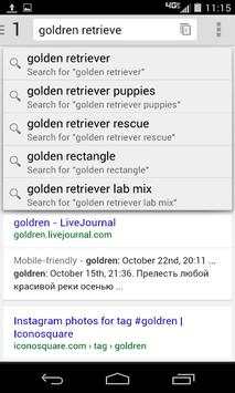 Fast Internet Browser screenshot 1