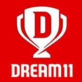 Dream 11 Experts - Dream11 Winner Prediction Tip 1.0