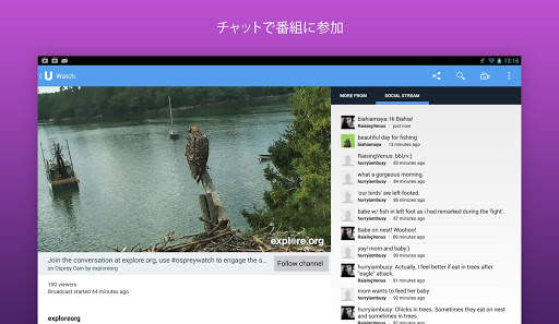 Ustream screenshot 6