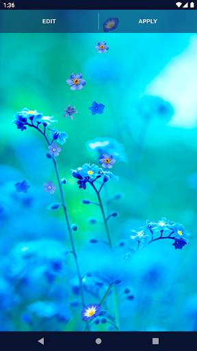 Blue Flowers Live Wallpaper screenshot 6