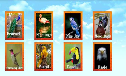 Animal World screenshot 3