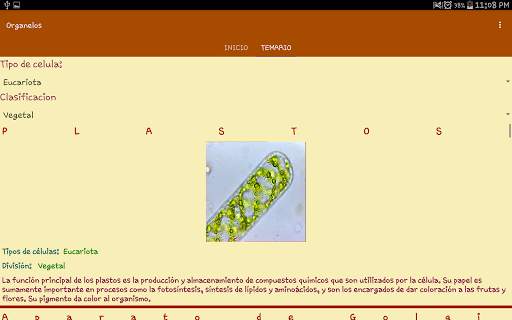 Organelos de la Celula screenshot 8