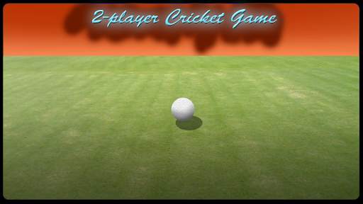 2 Player Cricket Game - CASUAL screenshot 3