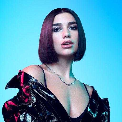 Dua Lipa 2020 Offline (32 Songs) 1.0
