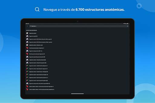 e-Anatomy screenshot 11