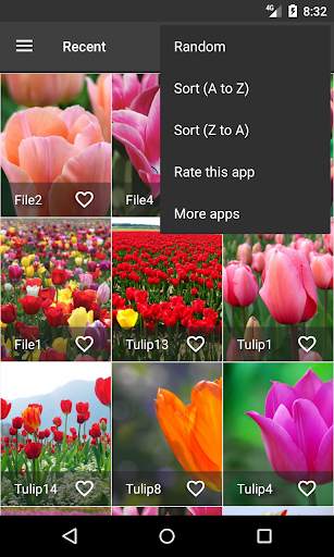 Tulips Wallpapers screenshot 2