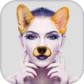Face Swap Camera Editor 3.0