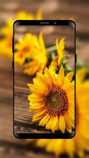 HD Wallpapers and Backgrounds screenshot 3