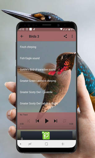 Bird Calls, Sounds, & Ringtones (Offline) скриншот 8