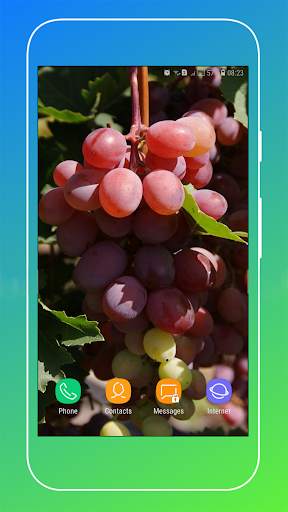 Grapes Wallpapers HD screenshot 12