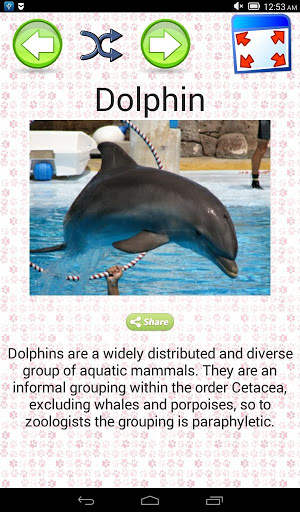 Animals Quiz & Infos скриншот 2