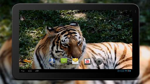 4K MightyTiger Video Live Wallpaper screenshot 5