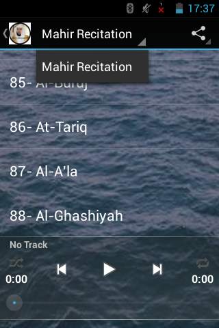 Maher AlMueaqly Full Quran MP3 screenshot 4