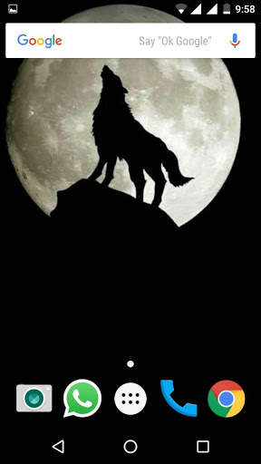 Wolf Wallpapers HD screenshot 1