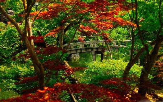Nature Wallpapers screenshot 2