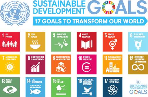 Sustainable Development Goals скриншот 1