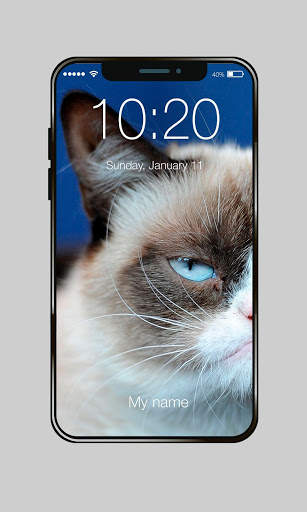 Grumpy Cat Wallpaper HD Screen Lock screenshot 2