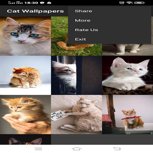 cat wallpapers 4k HD wallpapers for cat lovers screenshot 4