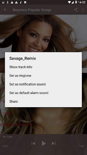 Beyonce Popular Songs screenshot 7