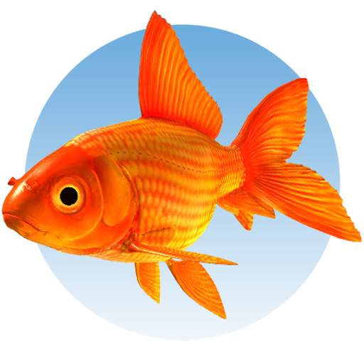 Animalia Educalabs video button added