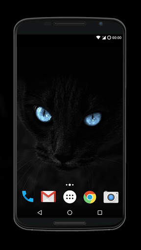 Cute Cat Wallpaper screenshot 3