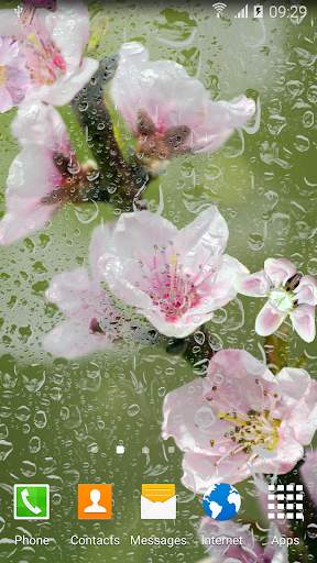 Blooming Trees Live Wallpaper screenshot 1