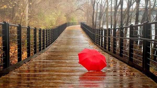 Rain Live Wallpaper 5 تصوير الشاشة