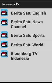Indonesia TV screenshot 4