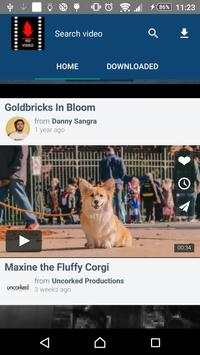 Fastest Video Downloader screenshot 2