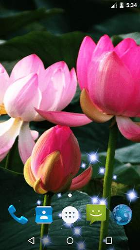 Lotus Live Wallpaper screenshot 1
