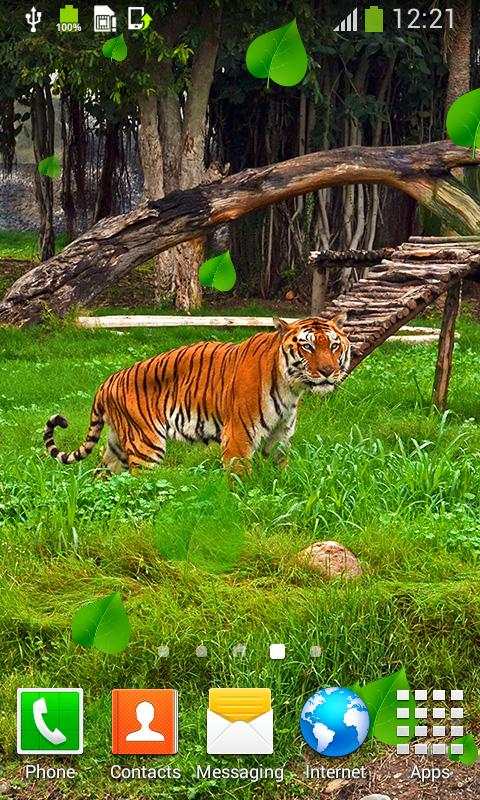 Tiger Live Wallpapers screenshot 2