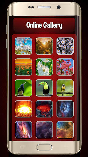 Video Live Wallpapers screenshot 3