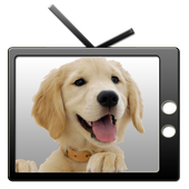 Talking Dogs icon