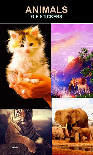 Animal Gif Stickers screenshot 1