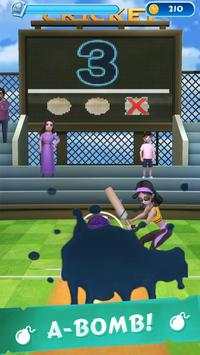 Cricket Master screenshot 2
