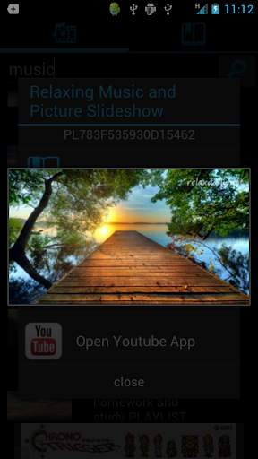 Playlist Search for Youtube screenshot 6