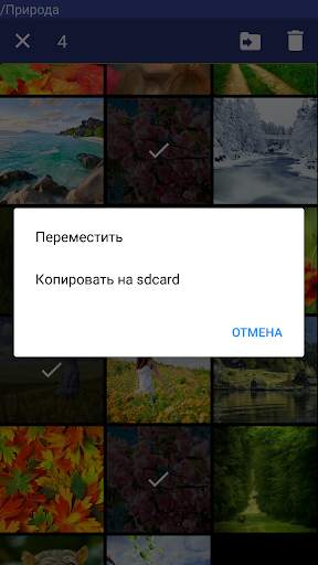 Фото галерея с паролем - Сейф скриншот 6