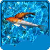 Koi Fish Live Wallpapers 1.6