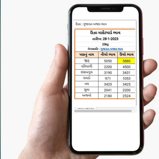 Gujarat Bajar Bhav screenshot 17