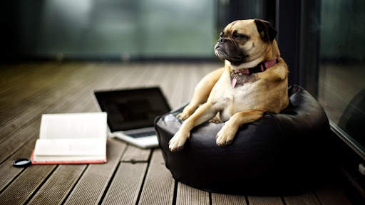 Relax Pictures, Gif And Video screenshot 7