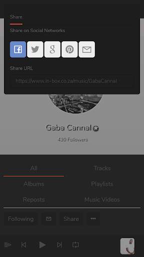 In-box Music screenshot 4