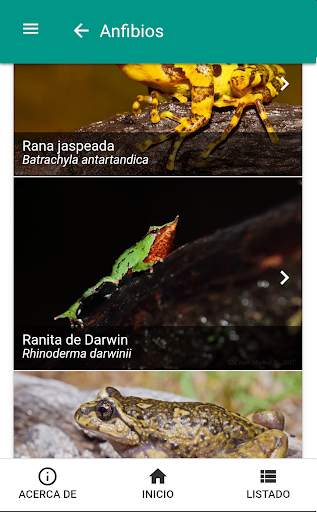 Fauna chilena screenshot 2