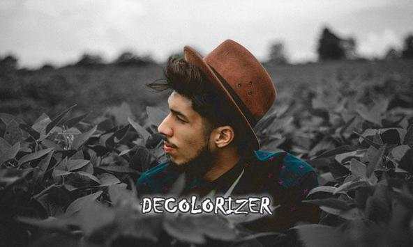 Decolorizer screenshot 2