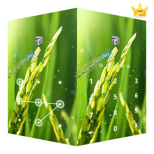 AppLock Live Theme Paddy – Paid Theme 1.0