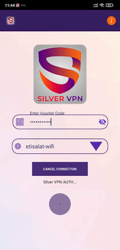 Silver VPN screenshot 2