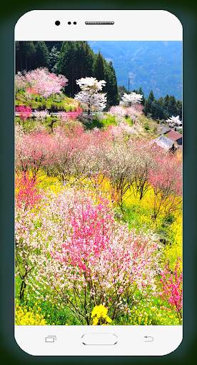 Spring Wallpaper HD screenshot 9