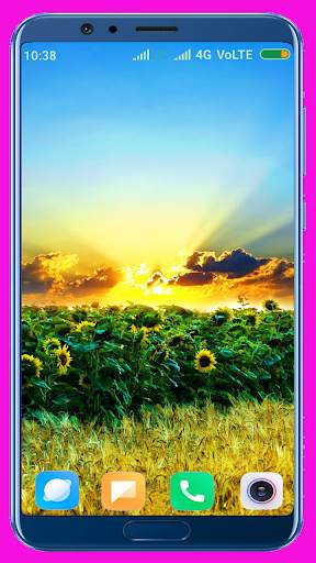Sunflower HD Wallpaper screenshot 14