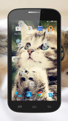 Kittens Live Wallpaper screenshot 3