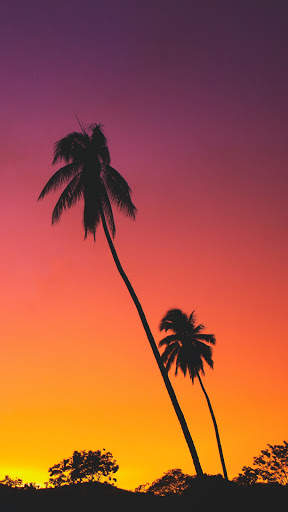 Sunset Wallpaper HD screenshot 7