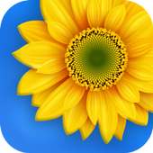 Gallery on 9Apps
